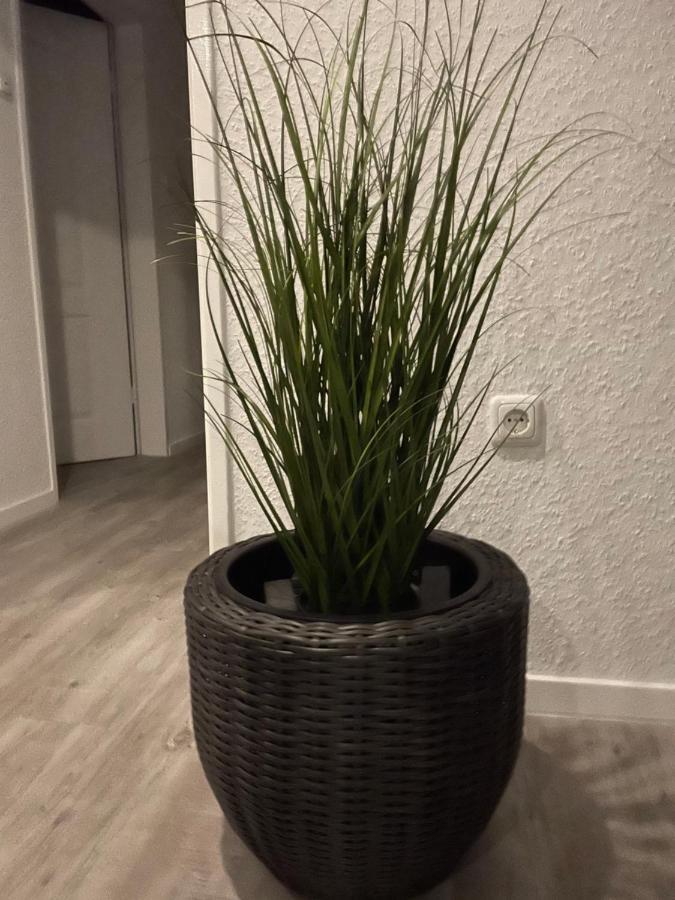 Apartment Haus Mariechen Hooksiel